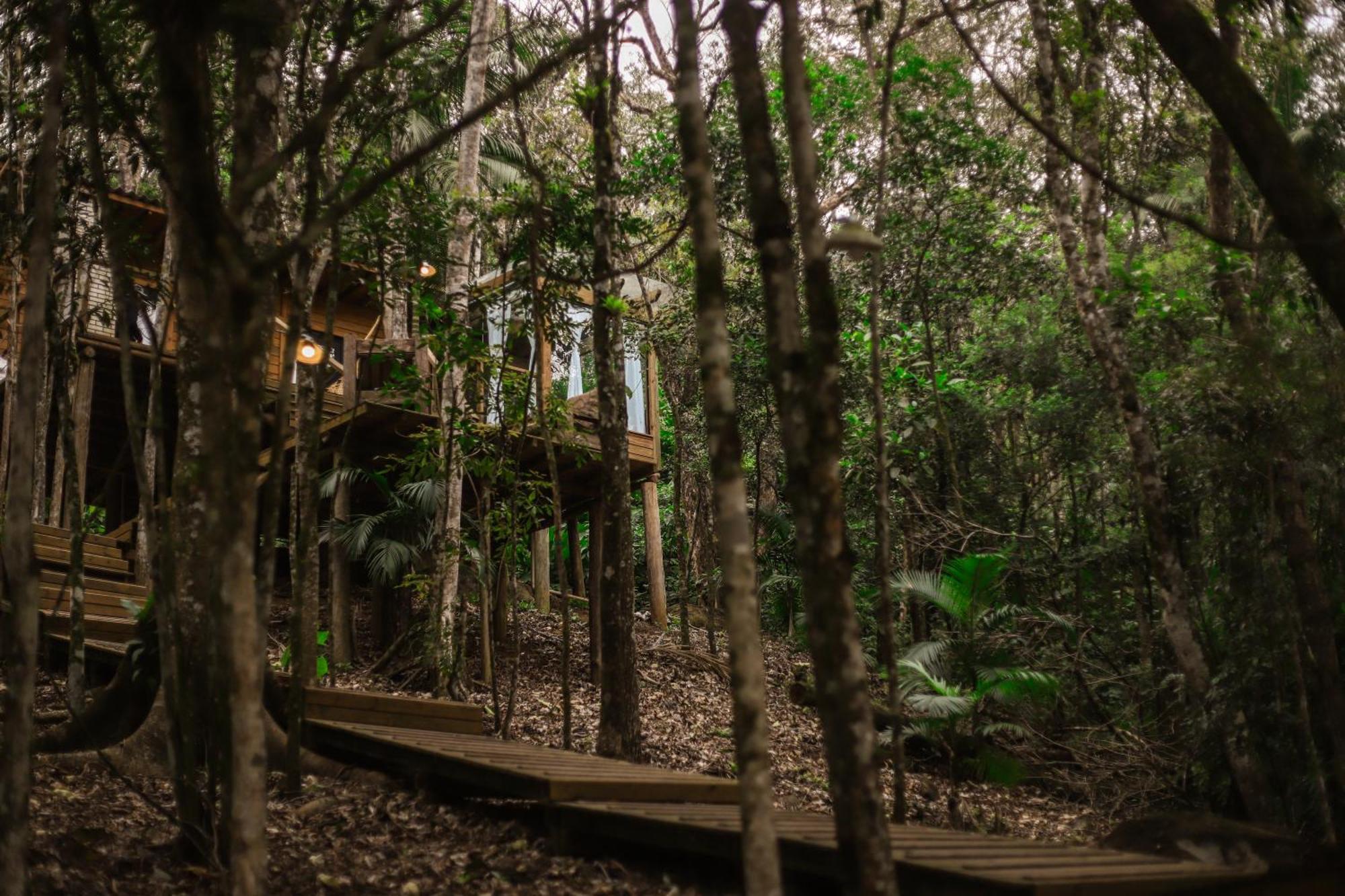 Chale Da Arvore, Vivenda Serra Velha, Chales De Montanha Timbe do Sul Esterno foto